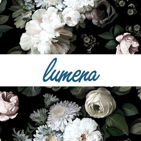 Signature Treatment: “The Lumena”