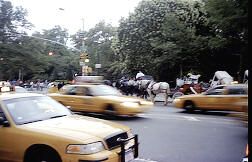 Cabs in Central Park New York