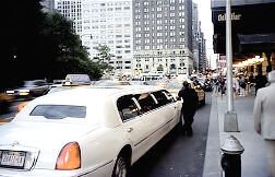 Limousine Services in Central Park NYC