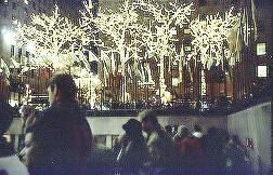 Lit trees at New York's Rockefeller Center