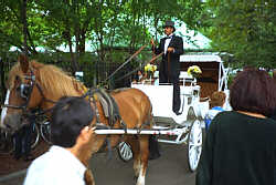 Hansom Cab