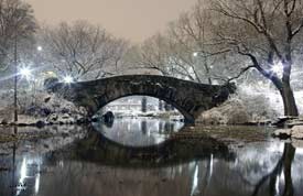 Central Park during the Magical Holiday Seasons in New York City