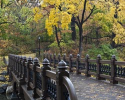 Central Park New York