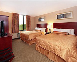 Comfort Inn Staten Island Guest Room NY