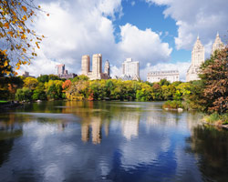 Central Park New York