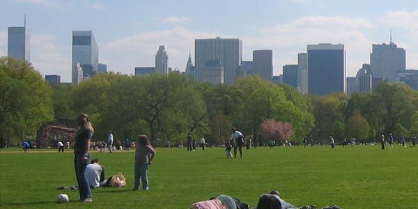 Central park tours and attraction