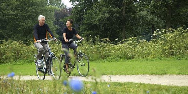 Guided Bicycle Tour in Central Park NYC