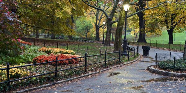 NYC Urban Oasis Walking Tour