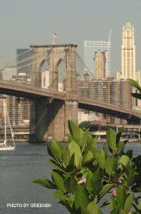 Brooklyn Bridge in NYC