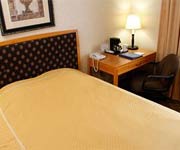 Best Western Manhattan Standard Queen Room