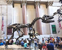 The Famous American Museum of National History in New York